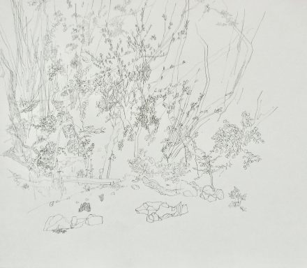 Drawings by Lincolnshire Artist Adele Walker