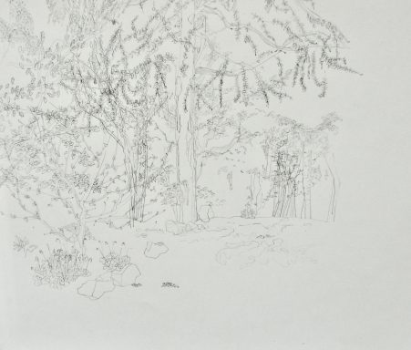 Drawings by Lincolnshire Artist Adele Walker