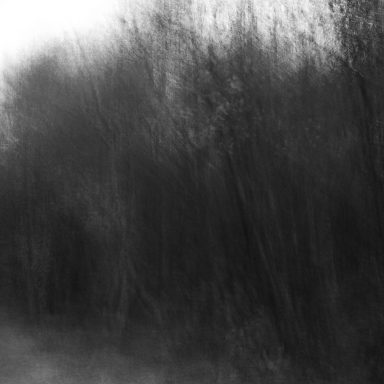 Adel Walker Photography